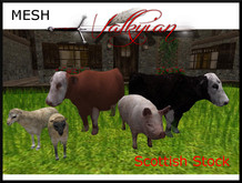 ~Valkyrian~ Scottish Stock