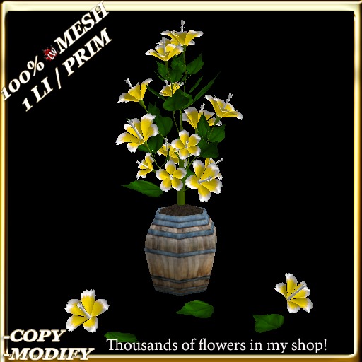 LW_HibiscusTreeBlue