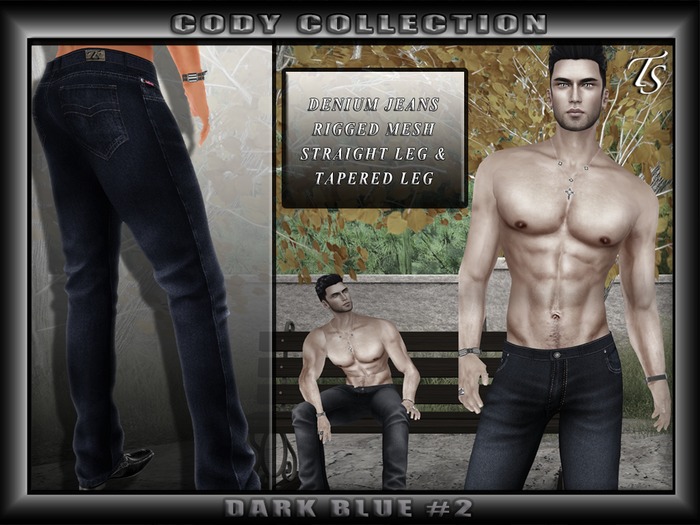 TS-Mens-Jeans-Cody#5-DarkBlue