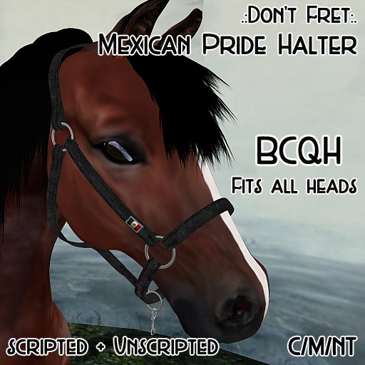 .:Don't Fret:. BCQH Mexico Pride Halter