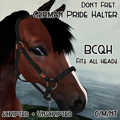 .:Don't Fret:. BCQH Germany Pride Halter