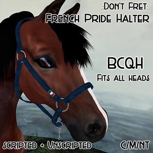 .:Don't Fret:. BCQH France Pride Halter