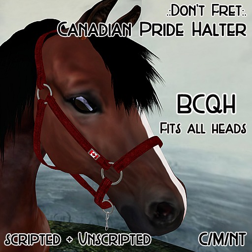 .:Don't Fret:. BCQH Canada Pride Halter