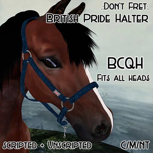 .:Don't Fret:. BCQH Britain Pride Halter