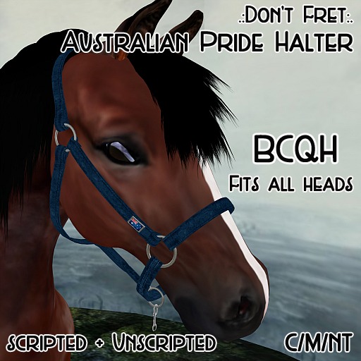.:Don't Fret:. BCQH Australia Pride Halter