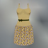 Yellow Apple Mesh Dress box