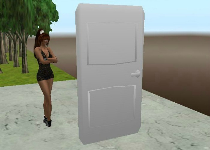 Door Mesh Untextured DIY 2LI