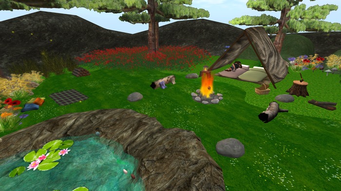 Box Promo Multi-Pose Fantasy Camping Area