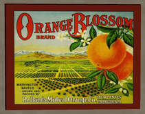 Orange Crate Label 1