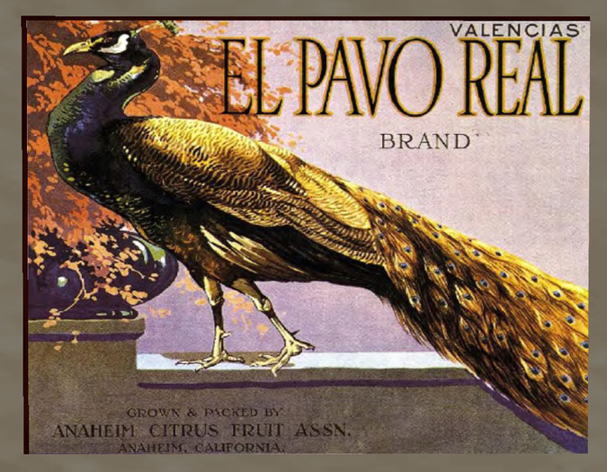 Orange Crate Label 3