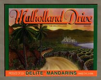 Orange Crate Label 5