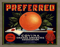 Orange Crate Label 7