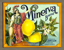 Orange Crate Label 8