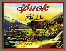 Orange Crate Label 9