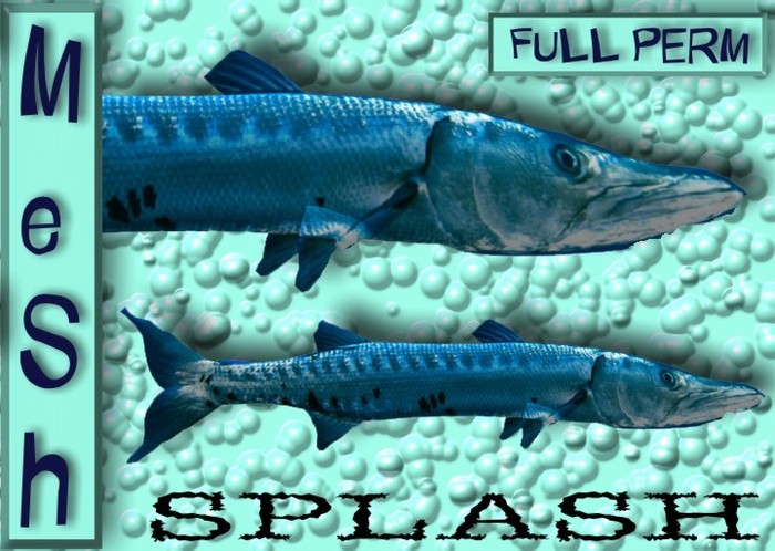 Splash BOX  Mesh Full Perm Light Blue  female Beta 0.5/1