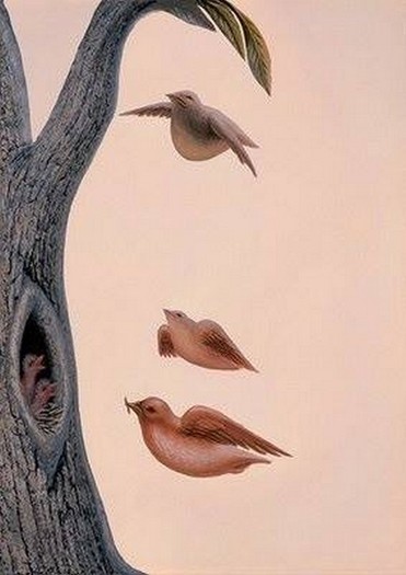 Deceive the eye, Face, the tree