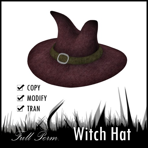 VITA11_witch hat (full perm)