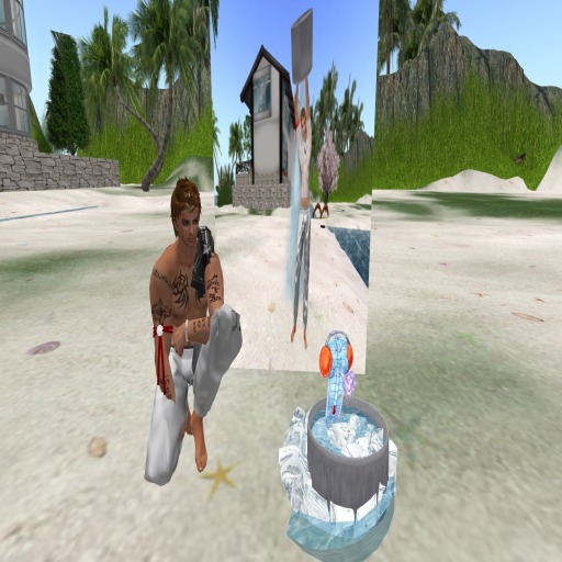 ALS - Ice COLD Bucket Water - Transferable