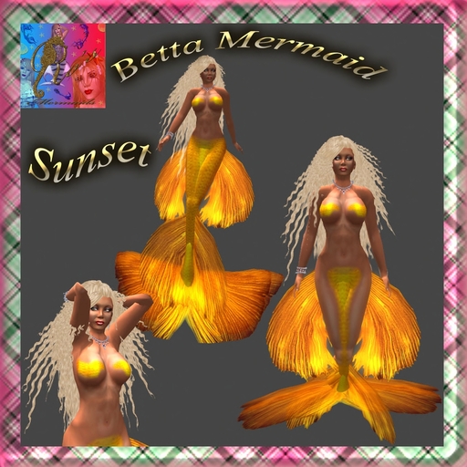 Sunset Betta mermaid