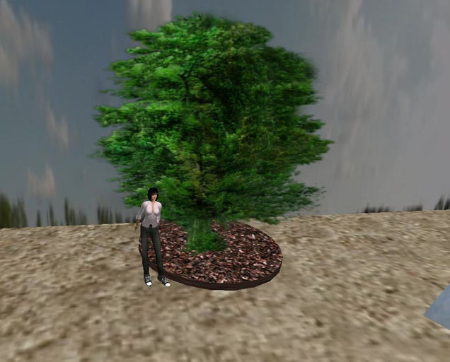 Second Life Marketplace - Spring Tree 25 * 1 Prim * 16 Faces Sculptured ...