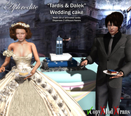 Aphrodite "Tardis & dalek" wedding cake- Two flavors slices!