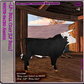 ~LP~ Coat Texture [LPBull] BOXED White Faced Angus