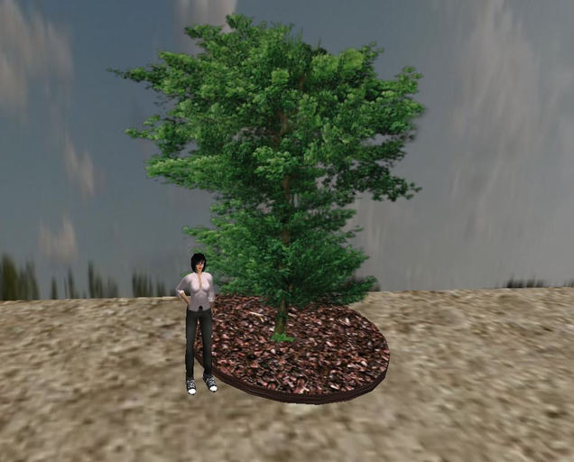 Second Life Marketplace - Spring Tree 22 * 1 Prim * 16 Faces Sculptured ...
