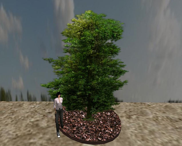 Second Life Marketplace - Spring Tree 23 * 1 Prim * 16 Faces Sculptured ...