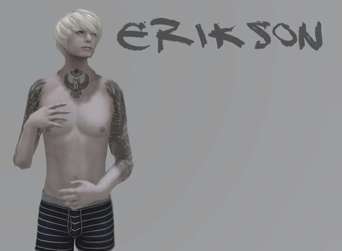 Pie-Tin: Erikson Shape - Simple
