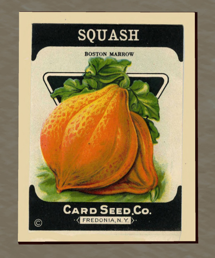 Framed Seed Packet - Lettuce