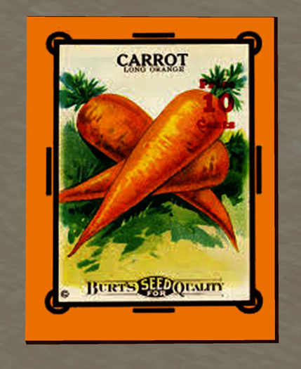 Framed Seed Packet 2 - Carrots