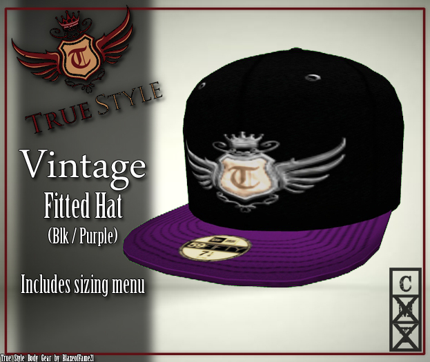 ~TSBG~ VIntage Fitted Blk/Gold Box