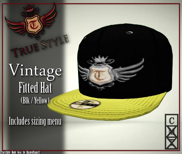 ~TSBG~ VIntage Fitted Blk/Gold Box