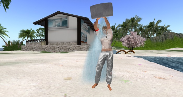 ASL Ice Bucket 6 Pack - BoX  Trasferable