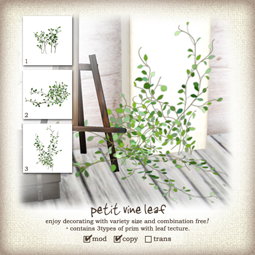 (iTuTu) petit vine leaf