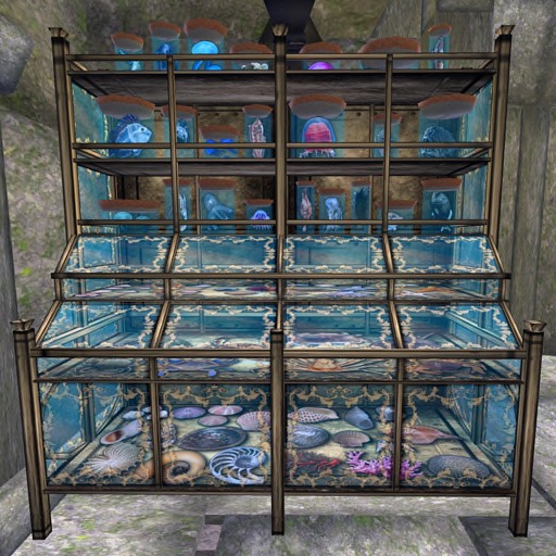 Marine Biology Specimen Case (8 prim)