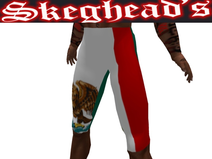 MEXICAN FLAG BOARDSHORTS or PANTS #1 FULL EDIT, GREAT GIFT