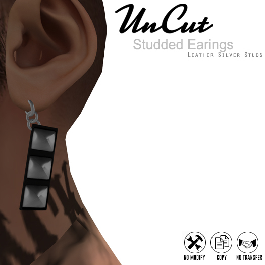 Uncut Studded Earing - Leather Silver Studs