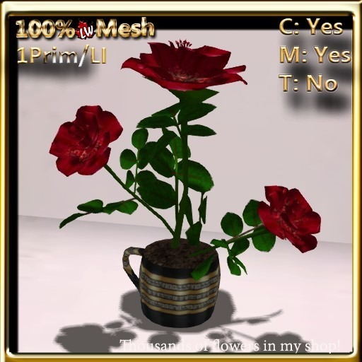 LW_ Rose Bush in Coffee Cup _ Flirtation Red