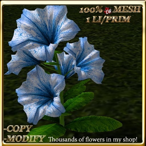 LW_ Potted Coleus Plant Mesh - Blue 1