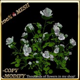 LW_RoseBushVase-White1