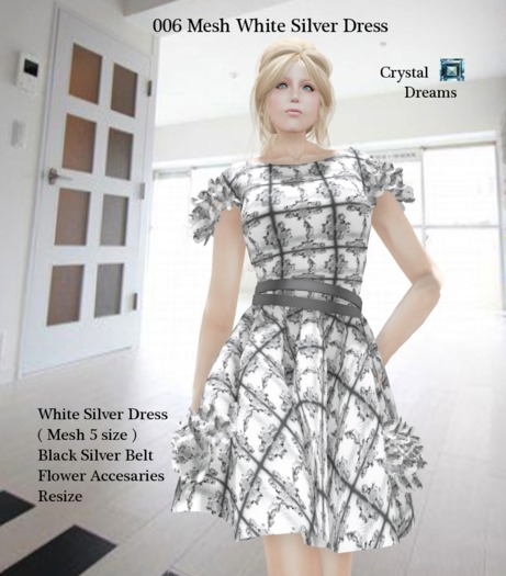 Mesh White Silver Dress 006 Box