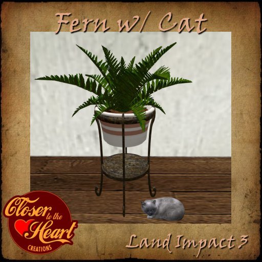 Fern w/Cat BOXED