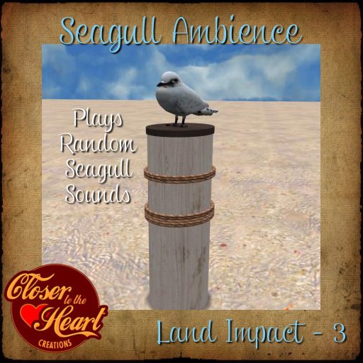Seagull Ambience BOXED