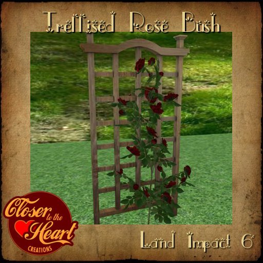 Trellised Rose Bush BOXED