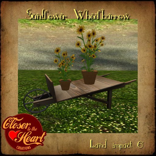 Sunflower Wheelbarrow BOXED