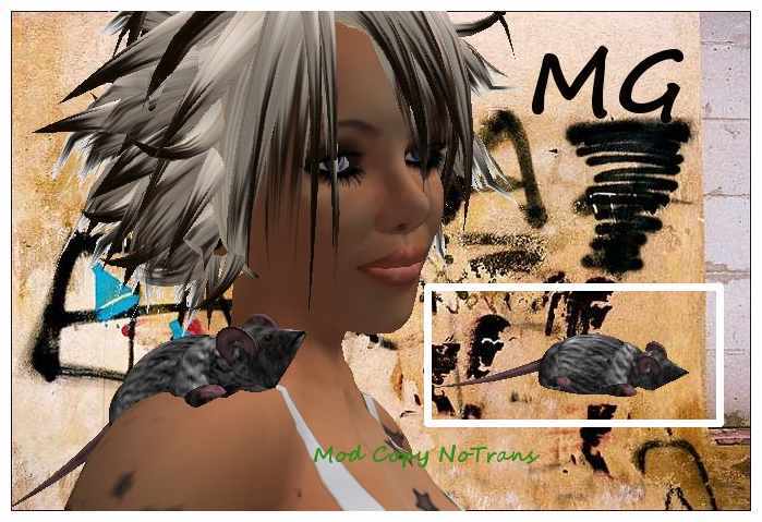 *MG* - Shoulder Rat
