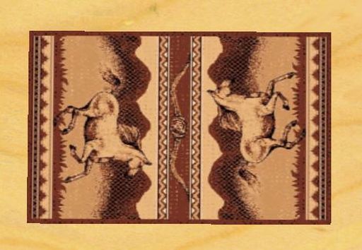horses rug