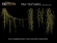 12176: 12 x Spanish Moss Textures Seamless and Loose on Alpha  