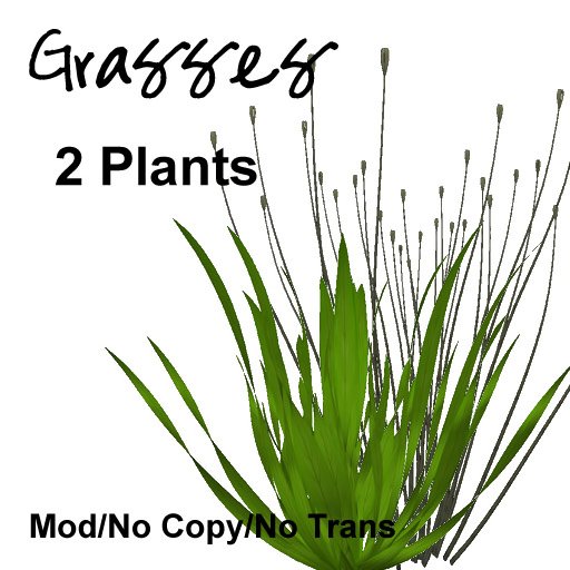 DAZ Grass Plants